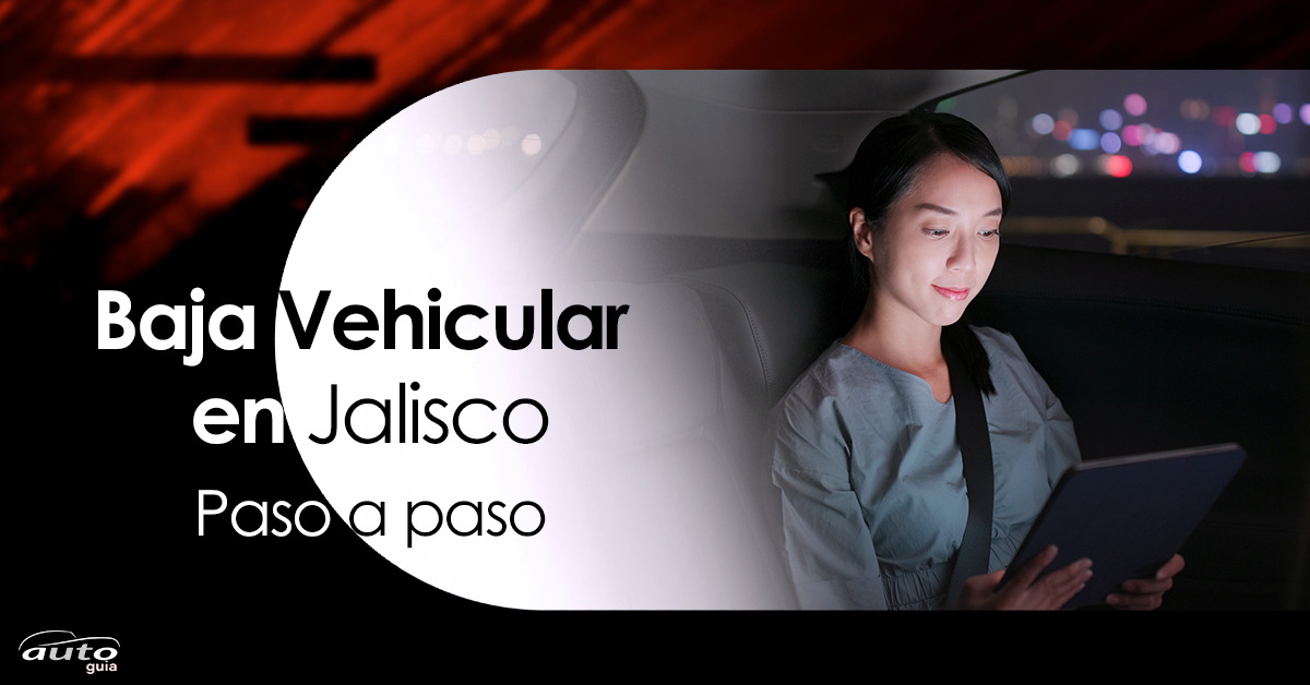 Baja Vehicular en Jalisco: Paso a paso